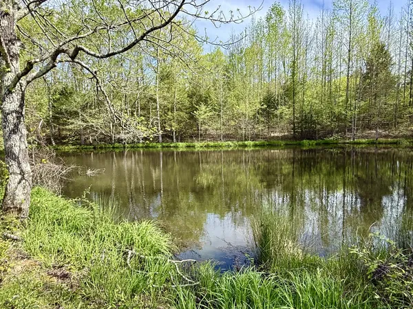 $729,000 | 562 Junus Jackson Hollow Road, Minor Hill, TN 38473