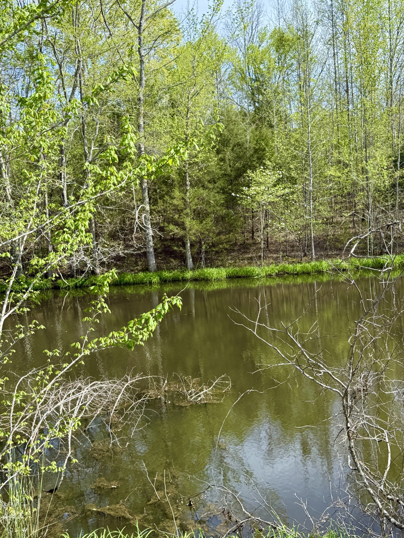 562 Junus Jackson Hollow Road Minor Hill, TN 38473 - Photo 24 of 72