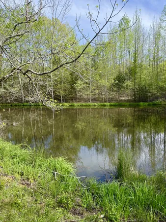 $729,000 | 562 Junus Jackson Hollow Road, Minor Hill, TN 38473