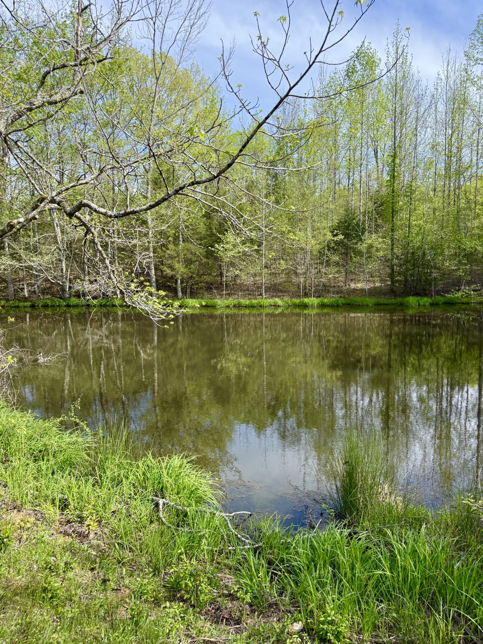 562 Junus Jackson Hollow Road Minor Hill, TN 38473 - Photo 26 of 72 a view of a lake with a yard