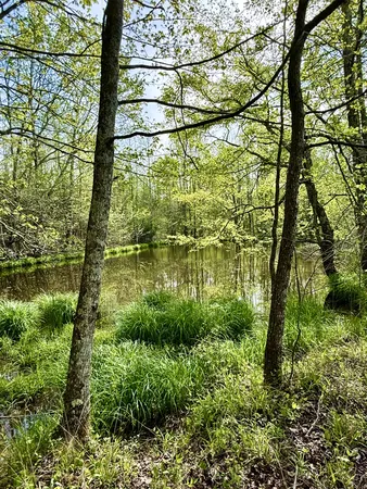 $729,000 | 562 Junus Jackson Hollow Road, Minor Hill, TN 38473