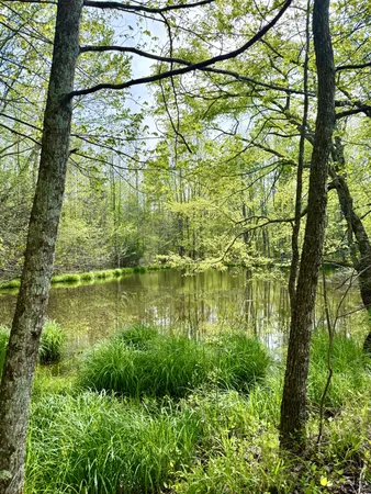 $729,000 | 562 Junus Jackson Hollow Road, Minor Hill, TN 38473