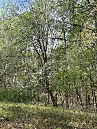 $729,000 | 562 Junus Jackson Hollow Road, Minor Hill, TN 38473