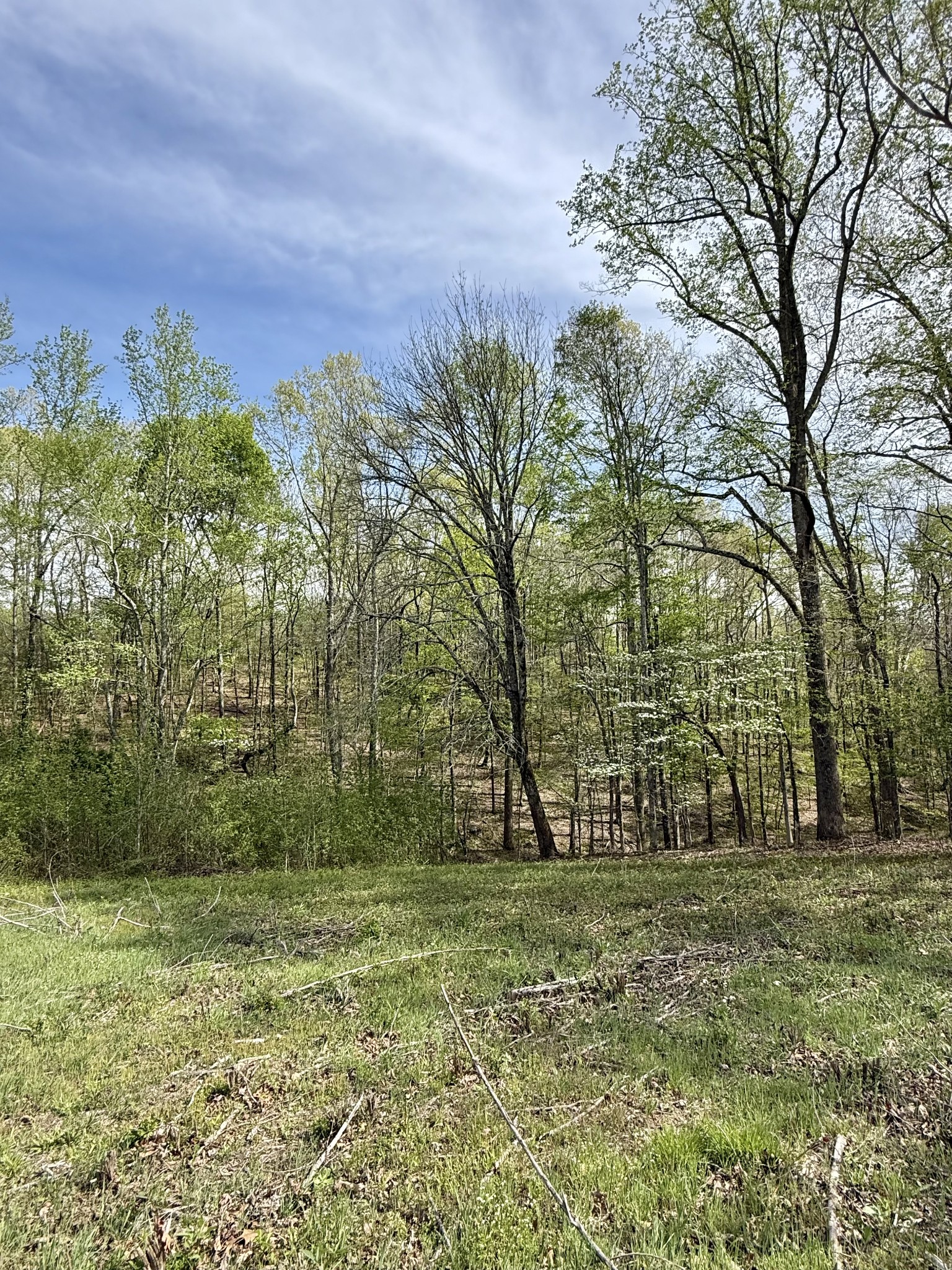 562 Junus Jackson Hollow Road Minor Hill, TN 38473 - Photo 32 of 72