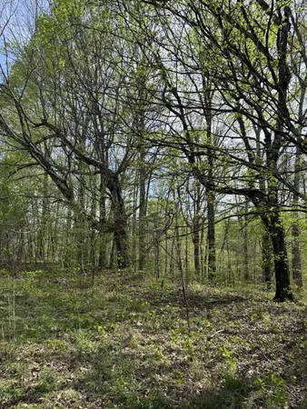 $729,000 | 562 Junus Jackson Hollow Road, Minor Hill, TN 38473