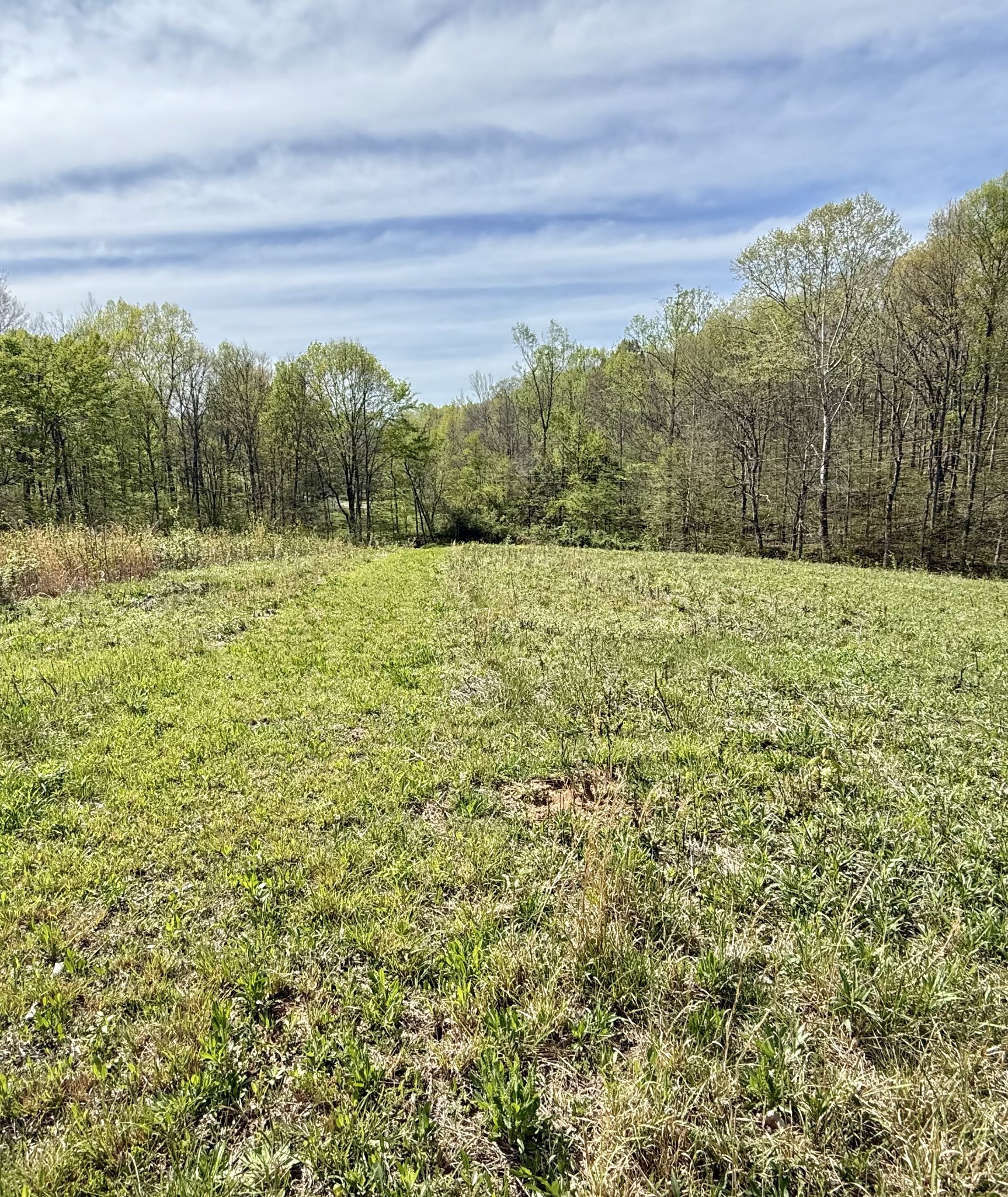 562 Junus Jackson Hollow Road Minor Hill, TN 38473 - Photo 34 of 72 a view of a field with an ocean
