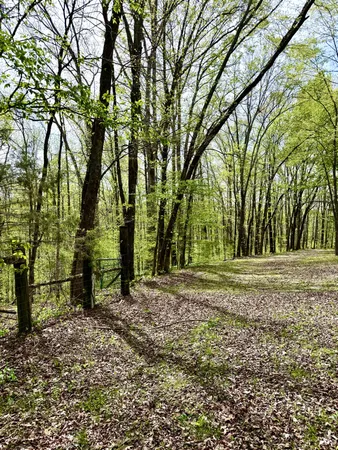 $729,000 | 562 Junus Jackson Hollow Road, Minor Hill, TN 38473