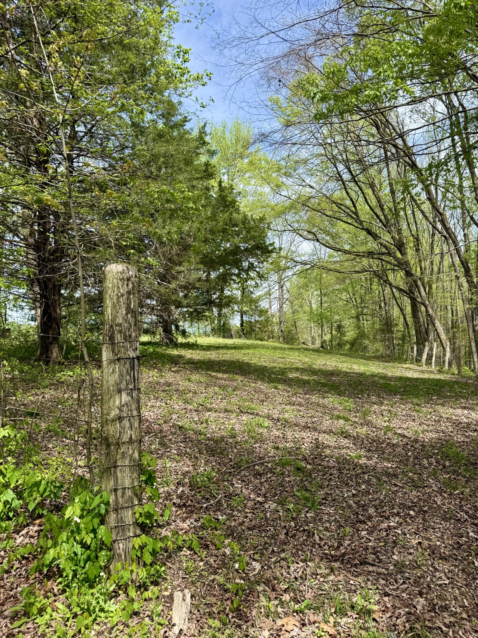 562 Junus Jackson Hollow Road Minor Hill, TN 38473 - Photo 44 of 72
