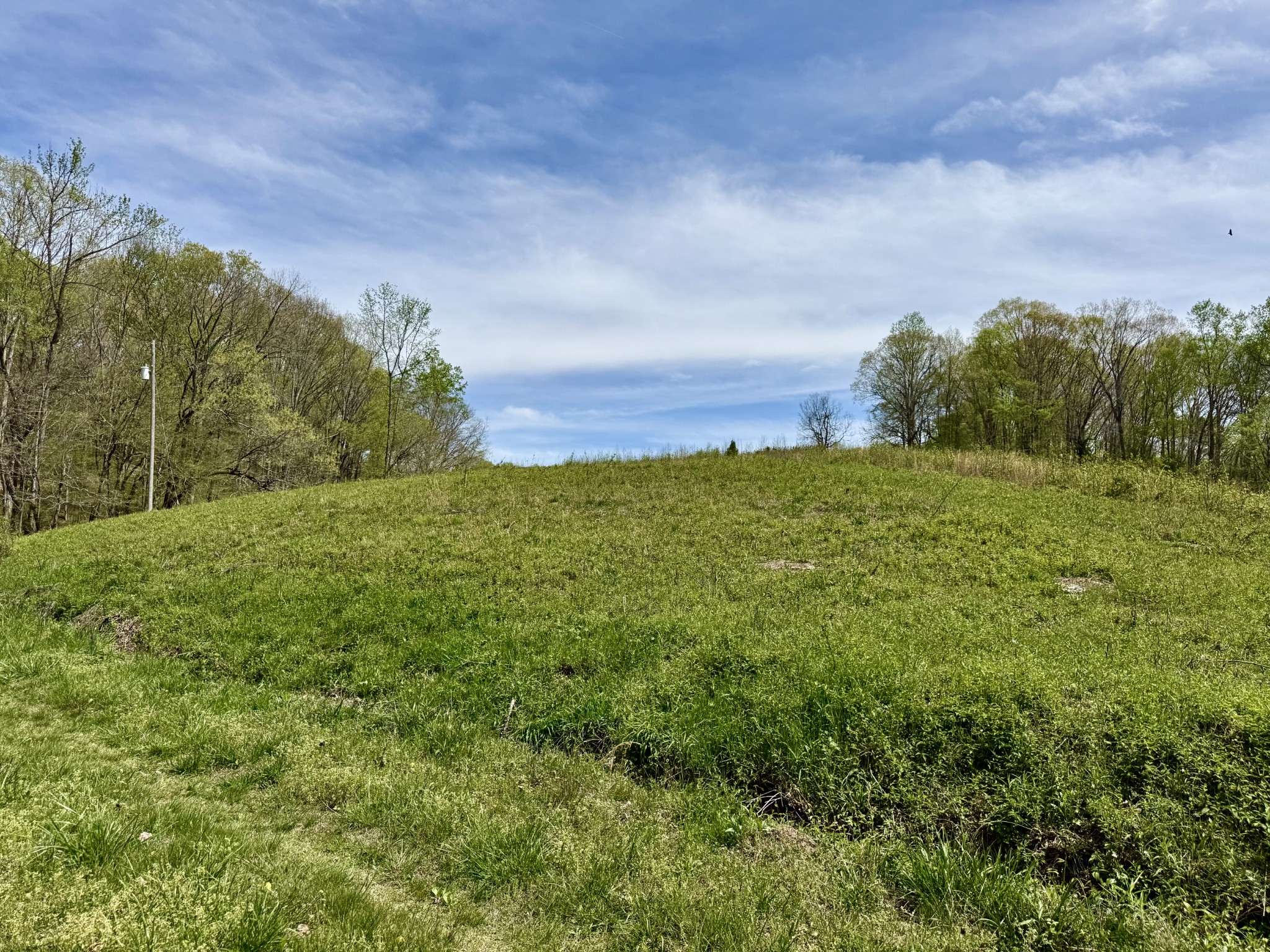 562 Junus Jackson Hollow Road Minor Hill, TN 38473 - Photo 46 of 72 a view of a big yard with lots of green space