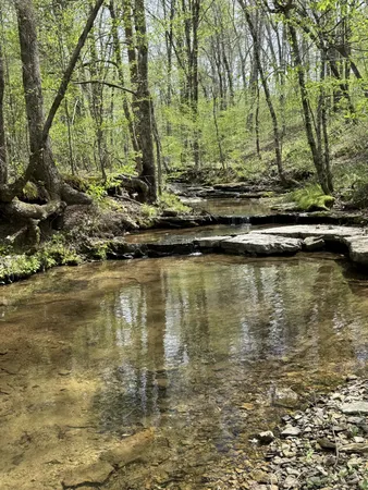 $729,000 | 562 Junus Jackson Hollow Road, Minor Hill, TN 38473