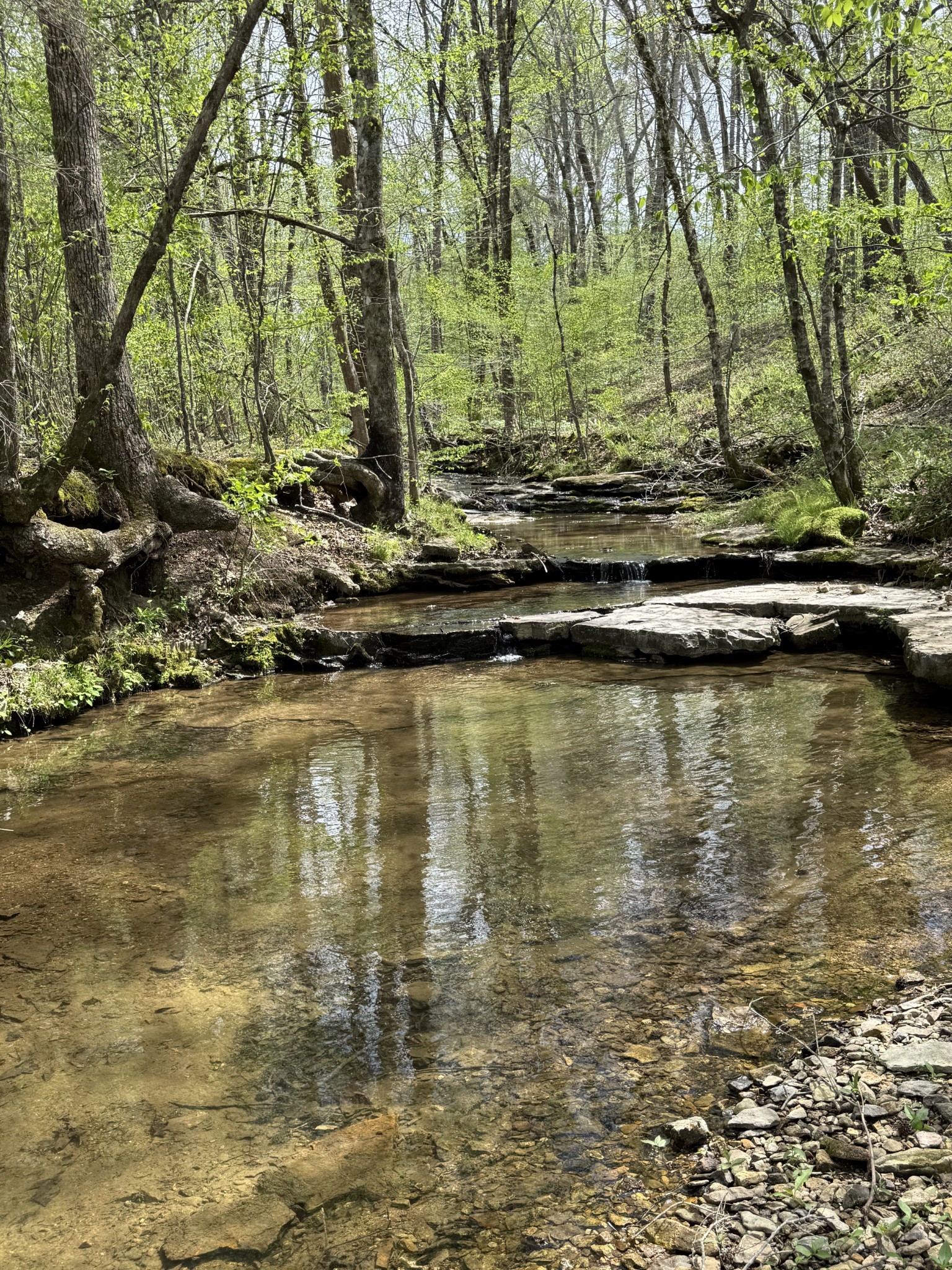 562 Junus Jackson Hollow Road Minor Hill, TN 38473 - Photo 47 of 72 a view of a lake view