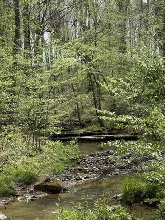 $729,000 | 562 Junus Jackson Hollow Road, Minor Hill, TN 38473