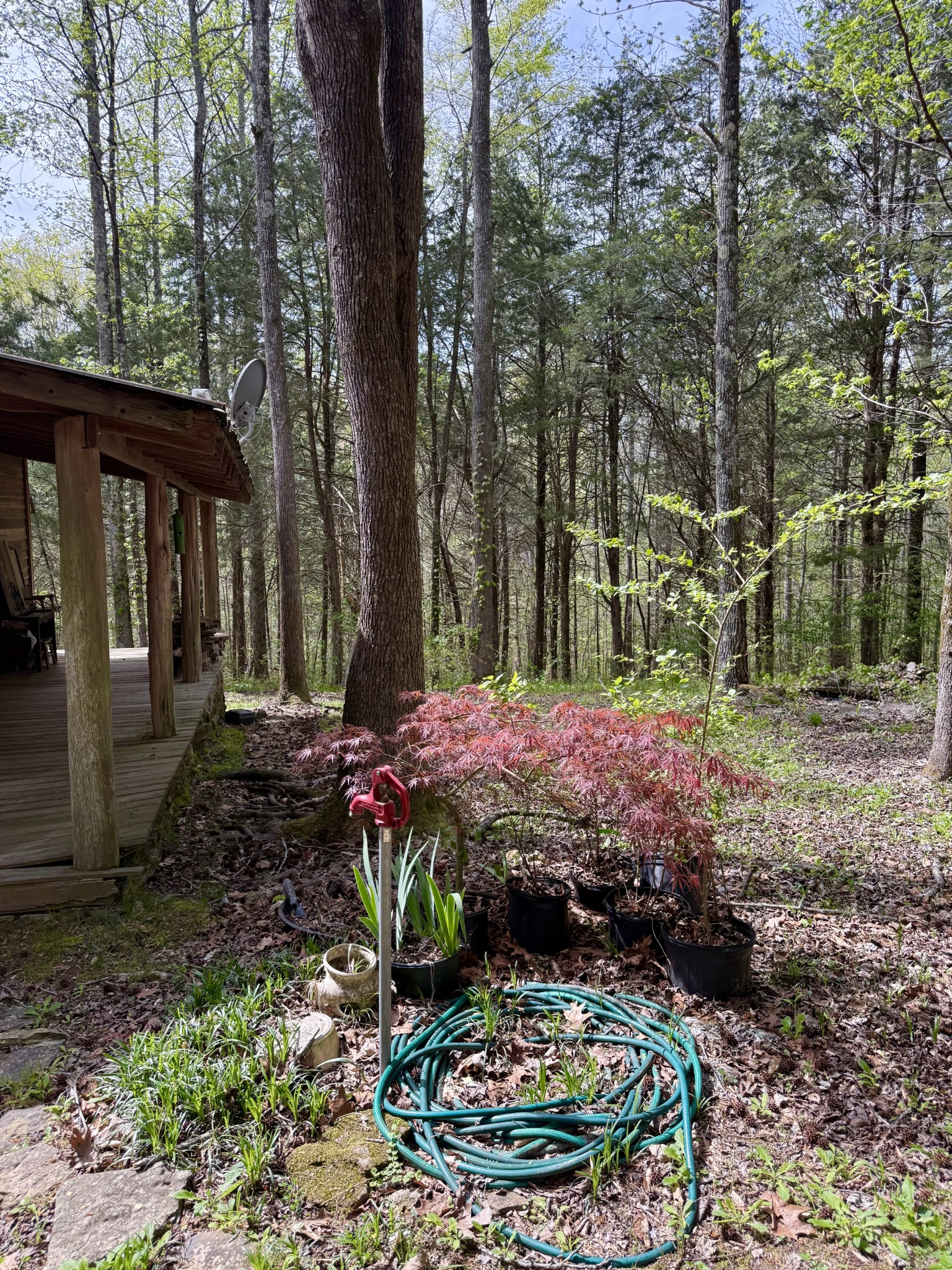 562 Junus Jackson Hollow Road Minor Hill, TN 38473 - Photo 54 of 72