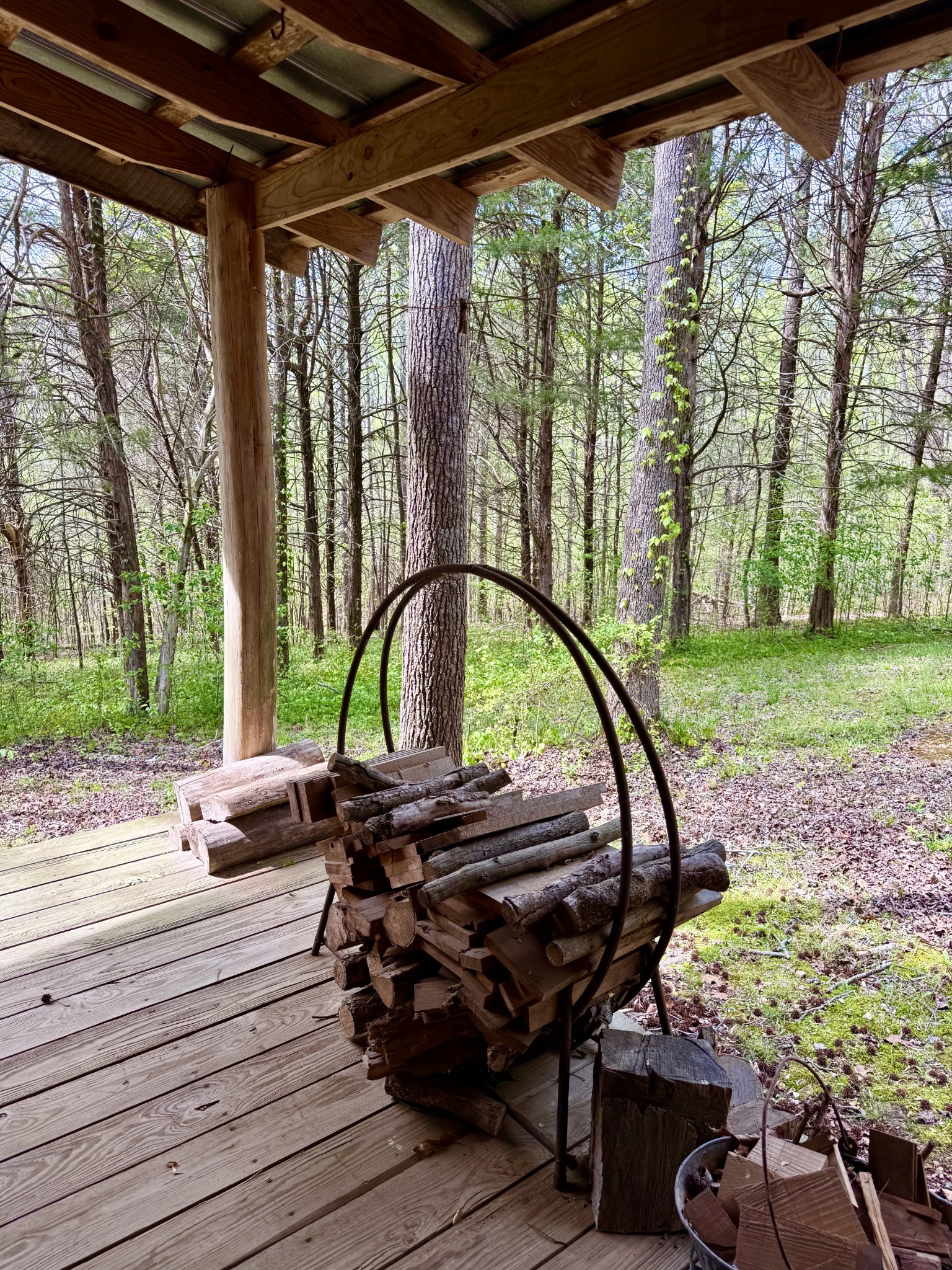 562 Junus Jackson Hollow Road Minor Hill, TN 38473 - Photo 60 of 72