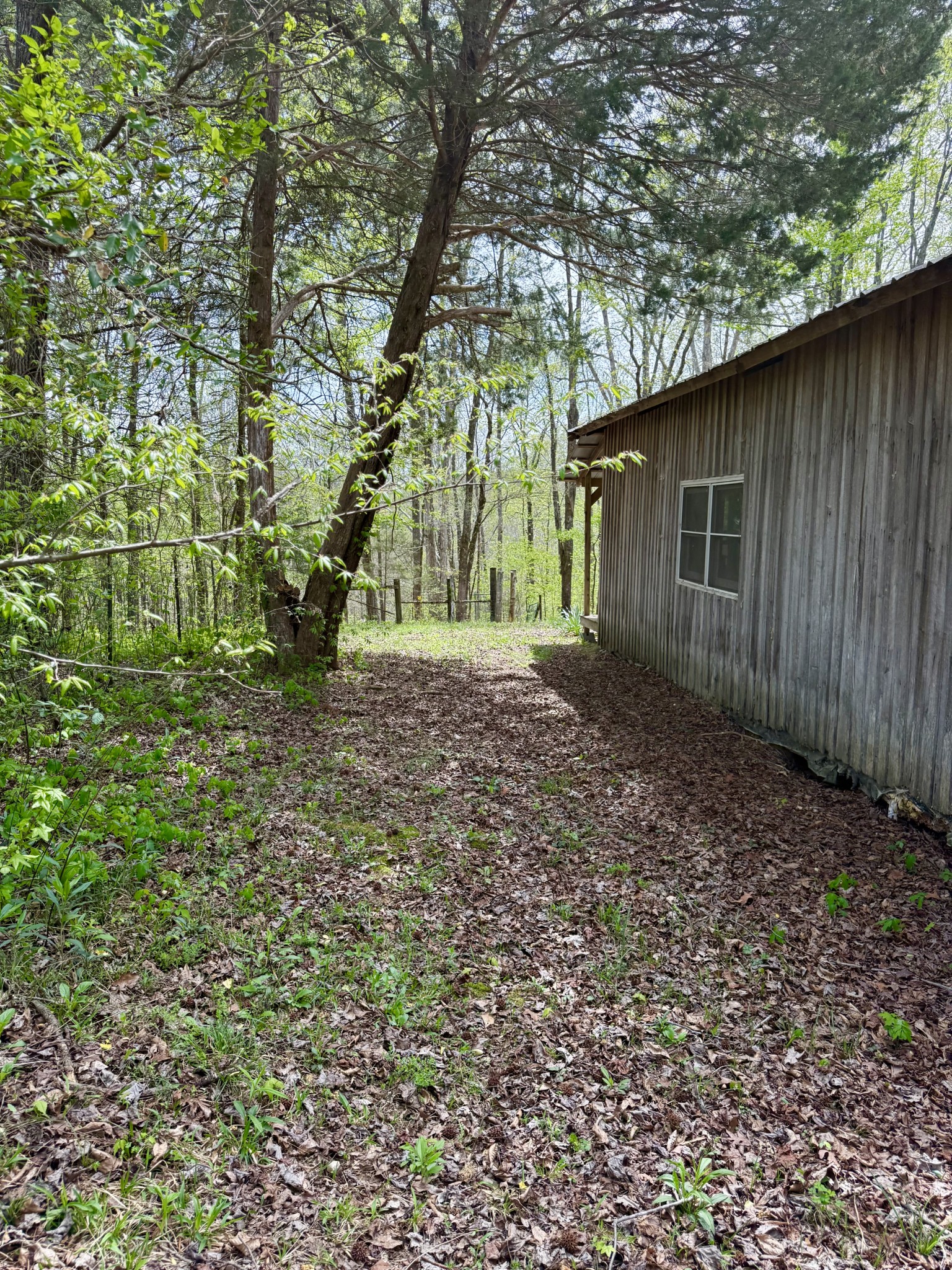 562 Junus Jackson Hollow Road Minor Hill, TN 38473 - Photo 67 of 72 a backyard of a house with lots of green space