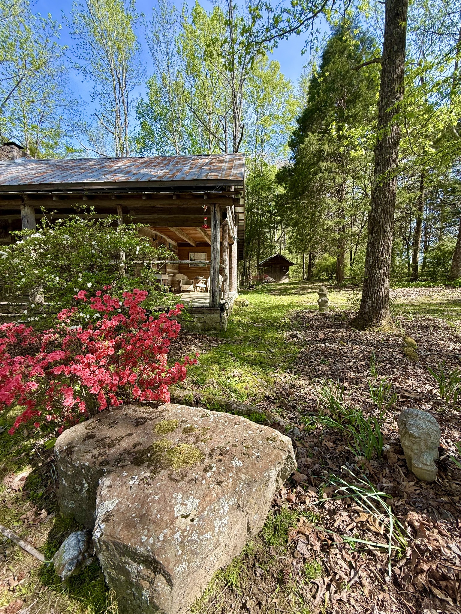 562 Junus Jackson Hollow Road Minor Hill, TN 38473 - Photo 9 of 72 a view of a backyard with pathway