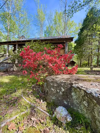 $729,000 | 562 Junus Jackson Hollow Road, Minor Hill, TN 38473