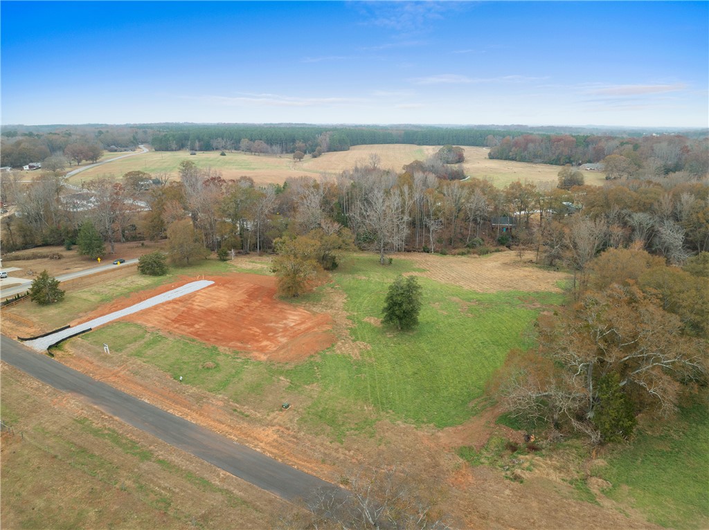 778 Garrison Road Pelzer, SC 29669 - Photo 7 of 13