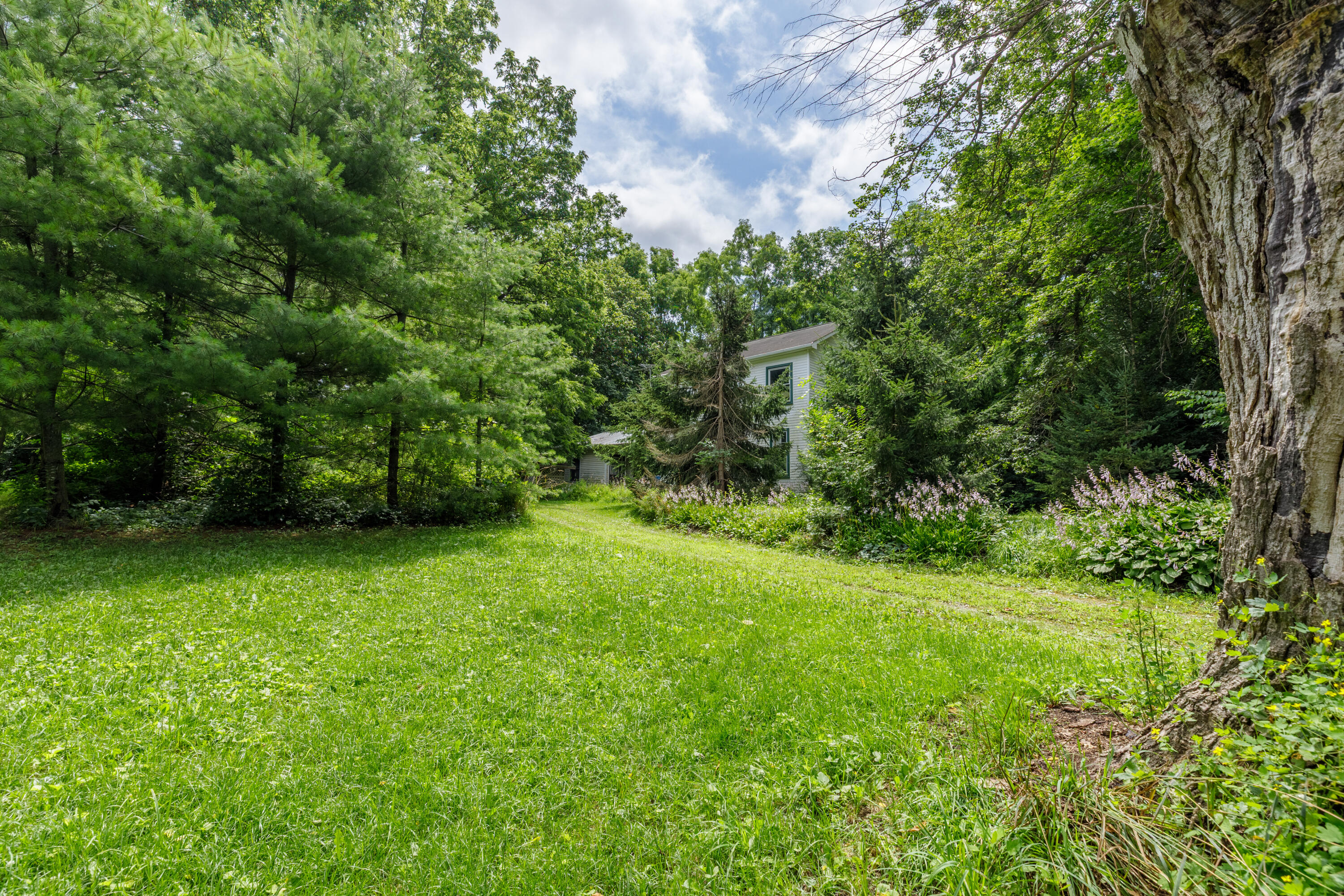 10525 Kies Road Manchester, MI 48158 - Photo 22 of 43 10525 Kies-22