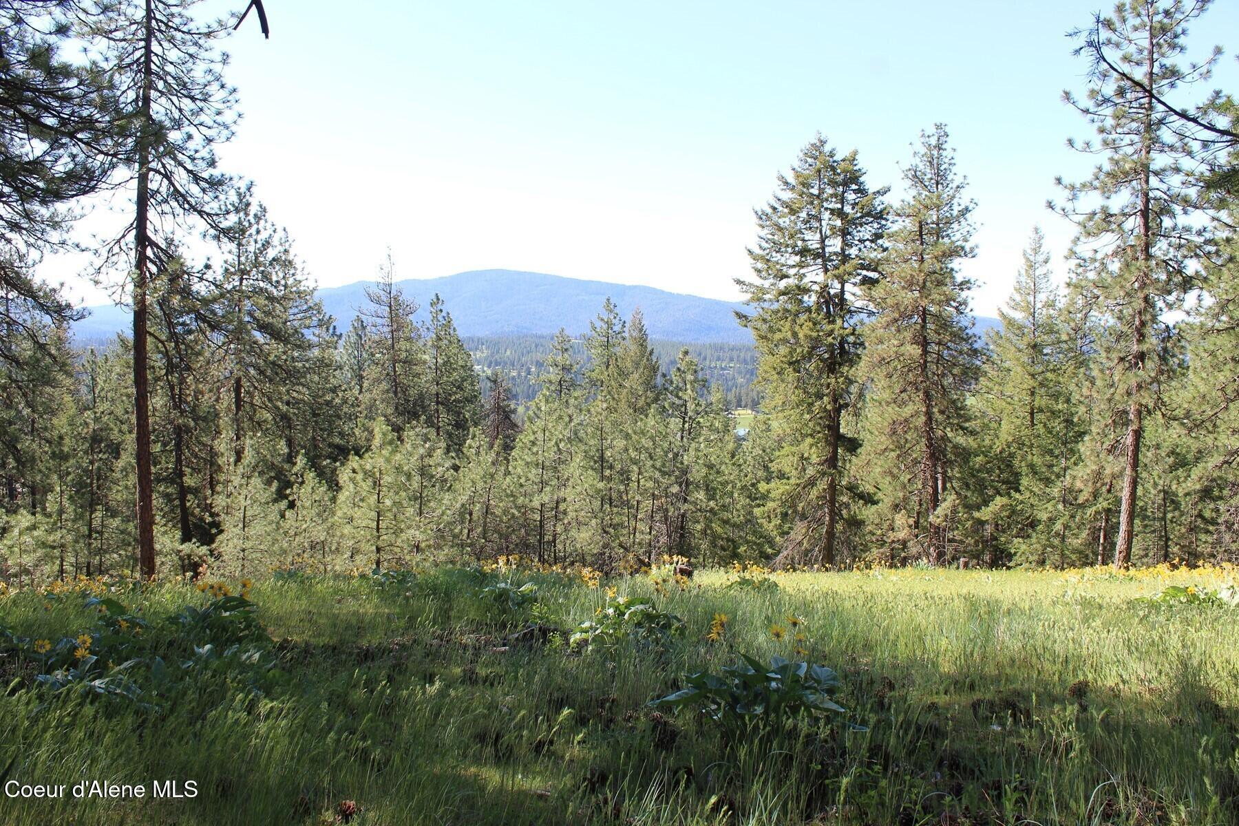 881-2714 South Allen Road Coeur D'Alene, ID 83814 - Photo 16 of 54 Southern Views