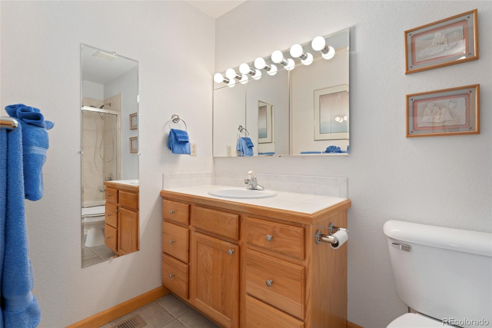 660 Coyote Circle Black Hawk, CO 80422 - Photo 22 of 46 a bathroom with a sink a toilet and a mirror