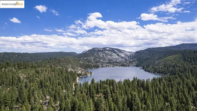 a view of a city with lush green forest