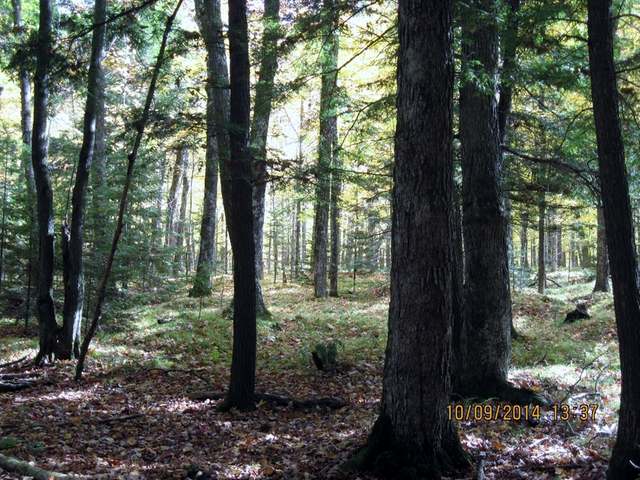 7-acres Sabinois Point Road Pelican Lake, WI 54463 - Photo 11 of 19 Gallery Image 11