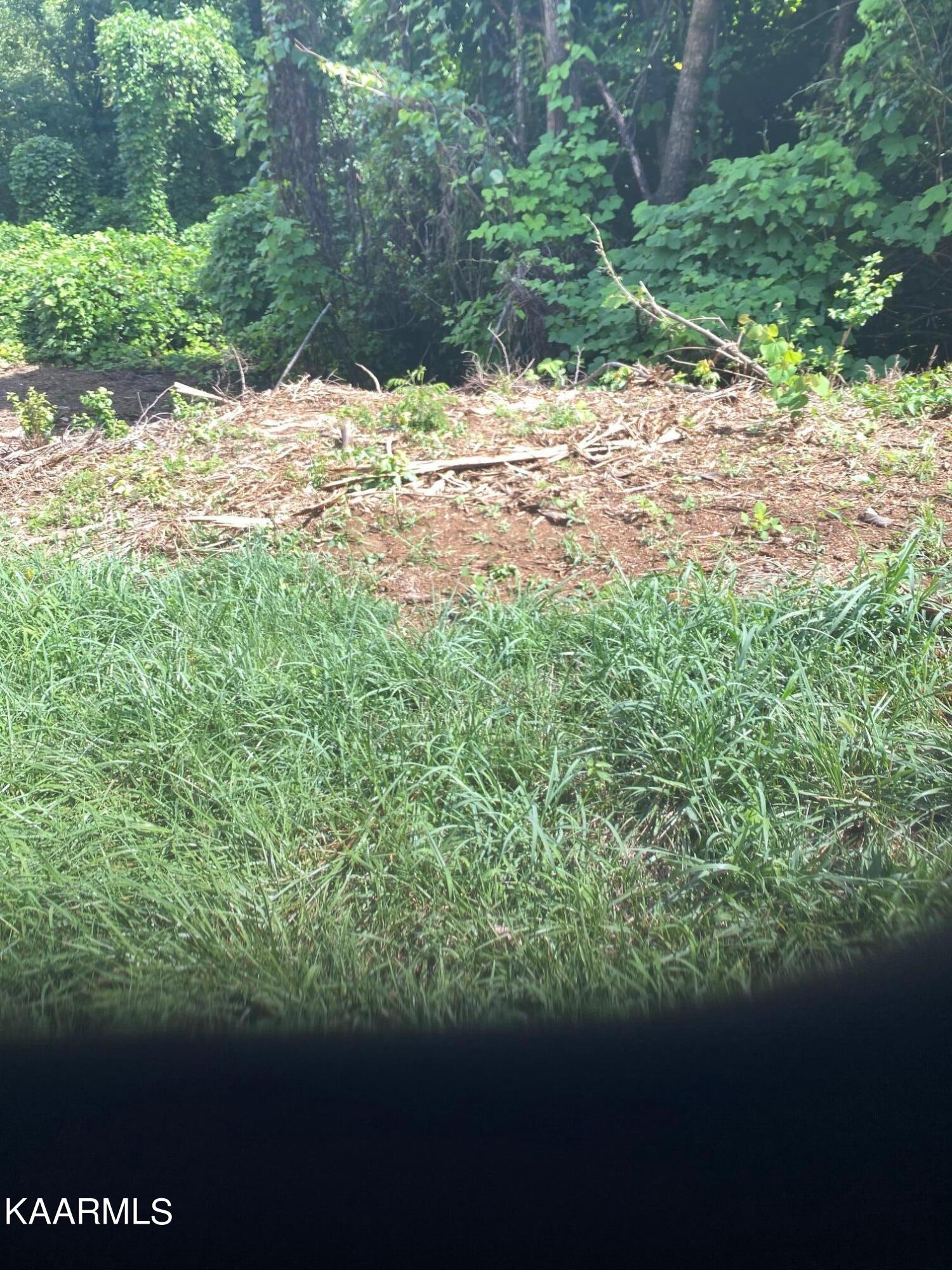 3107 Snapp Road Louisville, TN 37777 - Photo 2 of 4 IMG_4261