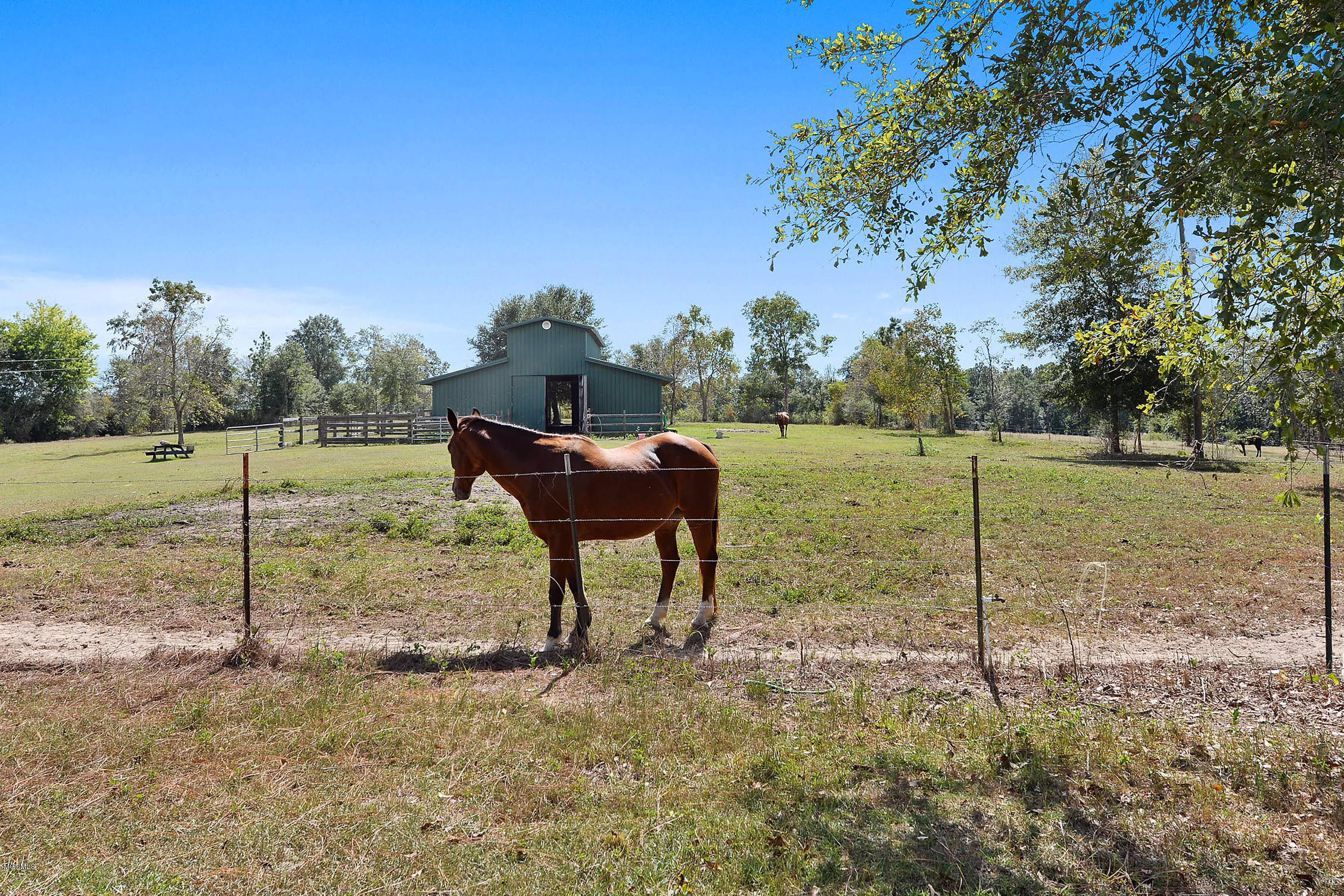 156 Havard Road Lucedale, MS 39452 - Photo 32 of 48 unnamed (32)