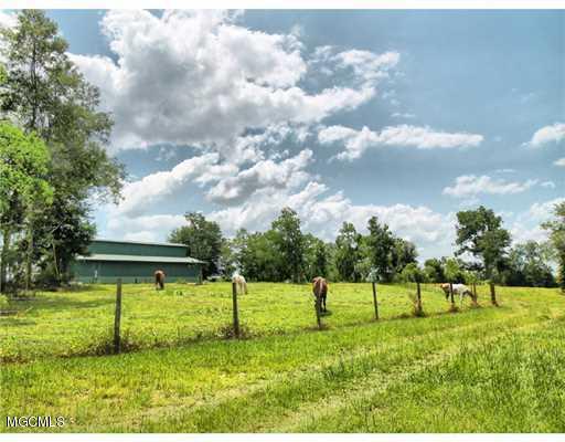 156 Havard Road Lucedale, MS 39452 - Photo 33 of 48 20160808152511340173000000-o