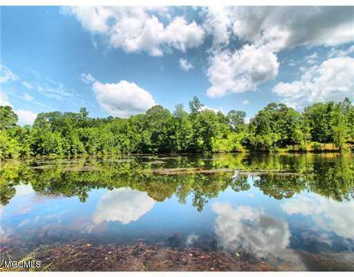 156 Havard Road Lucedale, MS 39452 - Photo 40 of 48 20160808152511154890000000-o