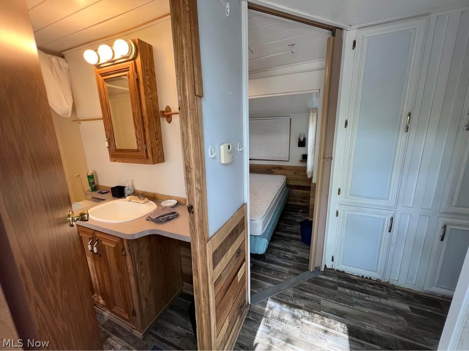 6684 Leon Road, Unit 336 Andover, OH 44003 - Photo 5 of 10 Bathroom featuring vanity, dark wood finished floors, wood walls, and connected bathroom