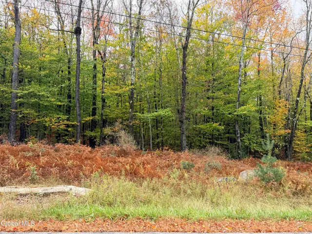 $220,000 | L25.12 Taconic Lake Road, Petersburg, NY 12138