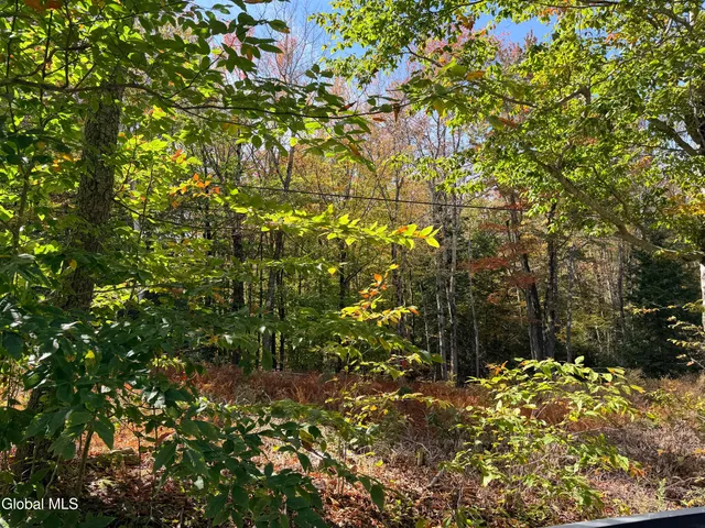 $220,000 | L25.12 Taconic Lake Road, Petersburg, NY 12138