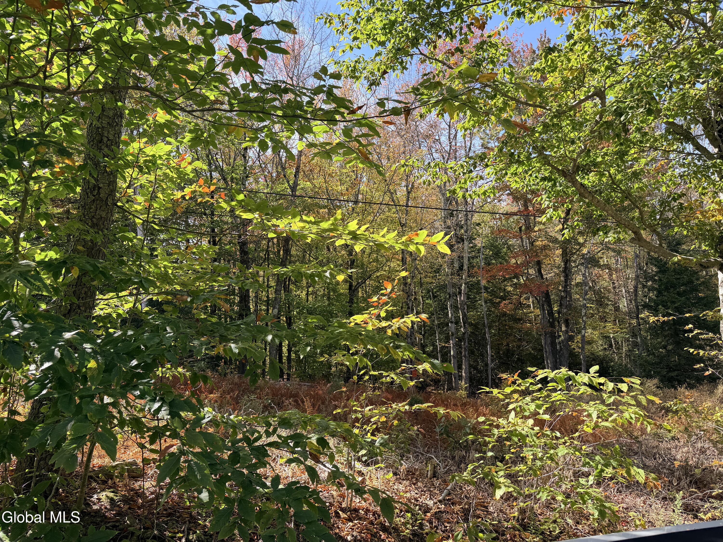 L25.12 Taconic Lake Road Petersburg, NY 12138 - Photo 11 of 60 IMG_0172