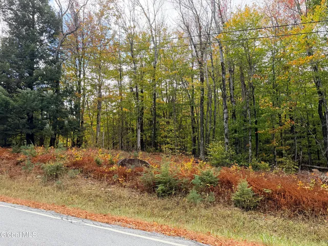 $220,000 | L25.12 Taconic Lake Road, Petersburg, NY 12138