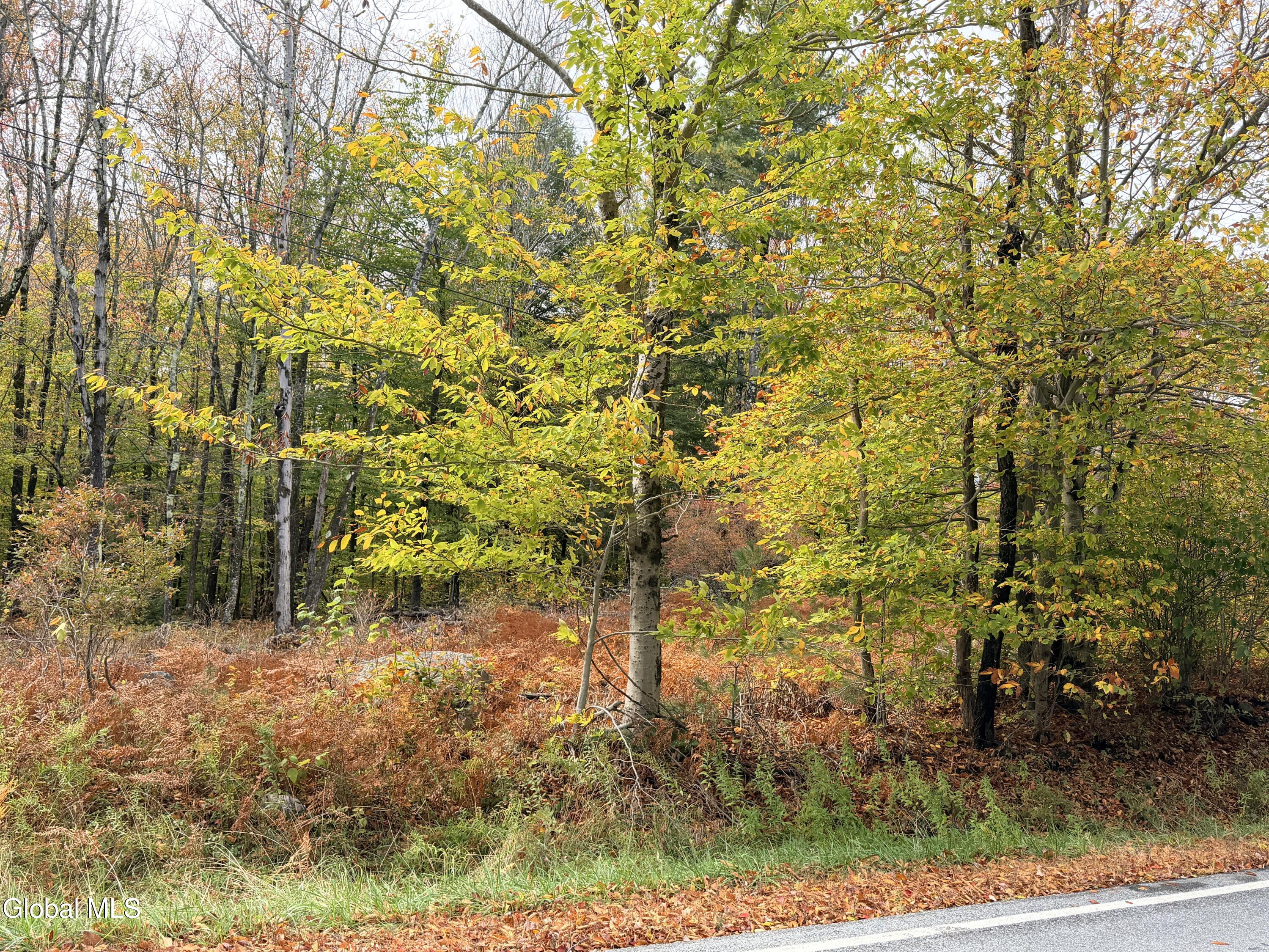 L25.12 Taconic Lake Road Petersburg, NY 12138 - Photo 13 of 60 IMG_0494 2