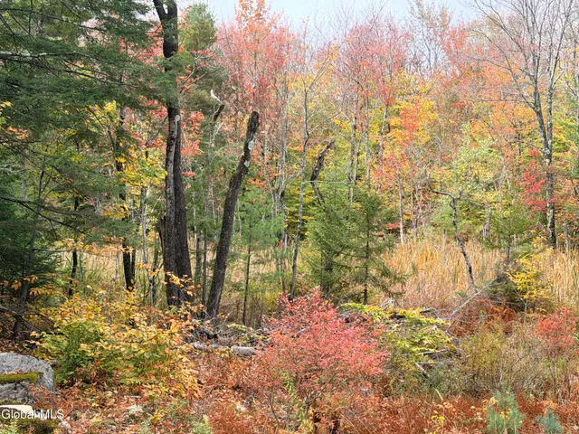 $220,000 | L25.12 Taconic Lake Road, Petersburg, NY 12138