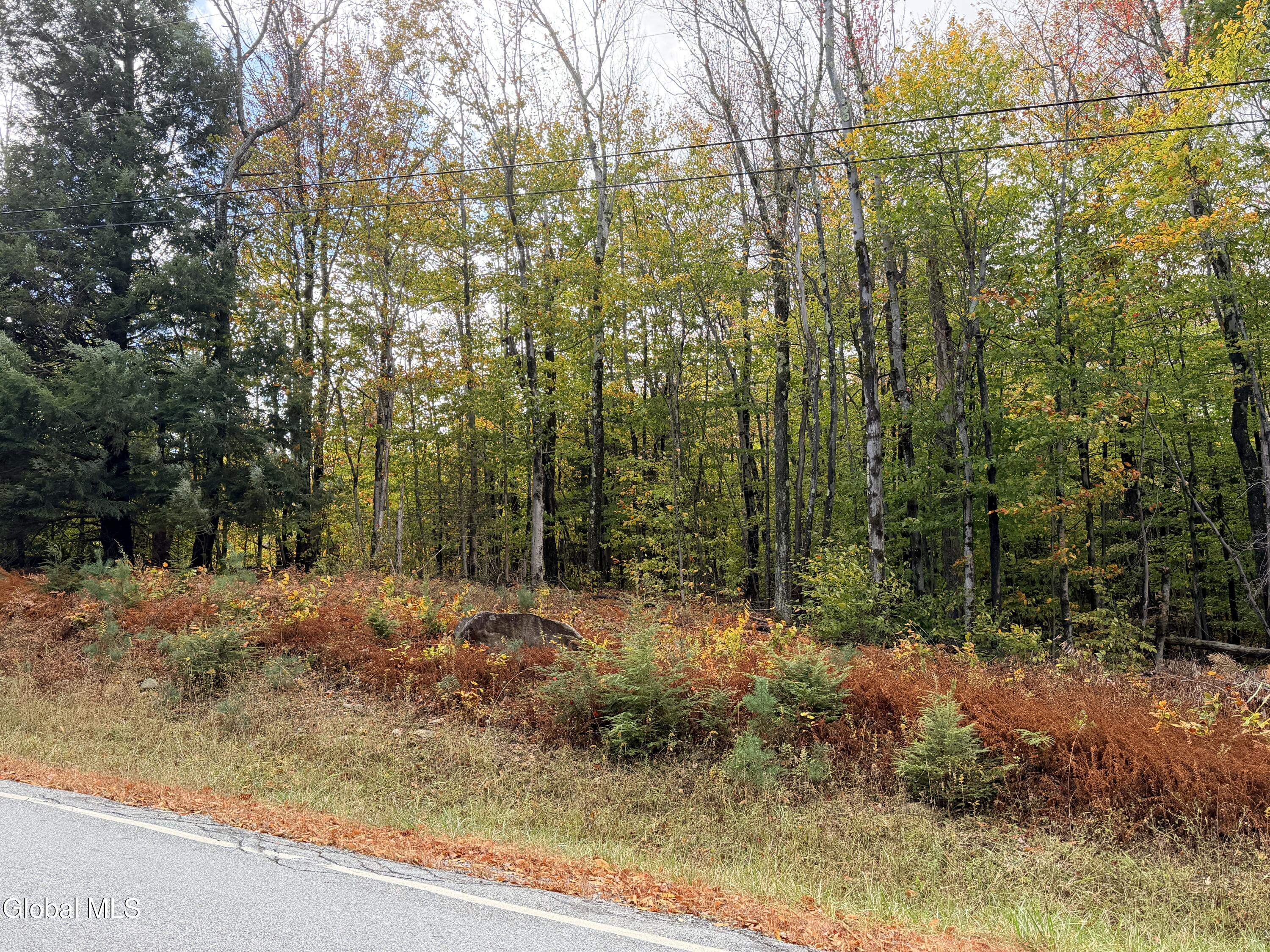 L25.12 Taconic Lake Road Petersburg, NY 12138 - Photo 16 of 60 IMG_0491 2