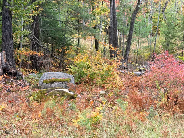 $220,000 | L25.12 Taconic Lake Road, Petersburg, NY 12138