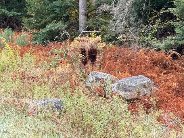 $220,000 | L25.12 Taconic Lake Road, Petersburg, NY 12138