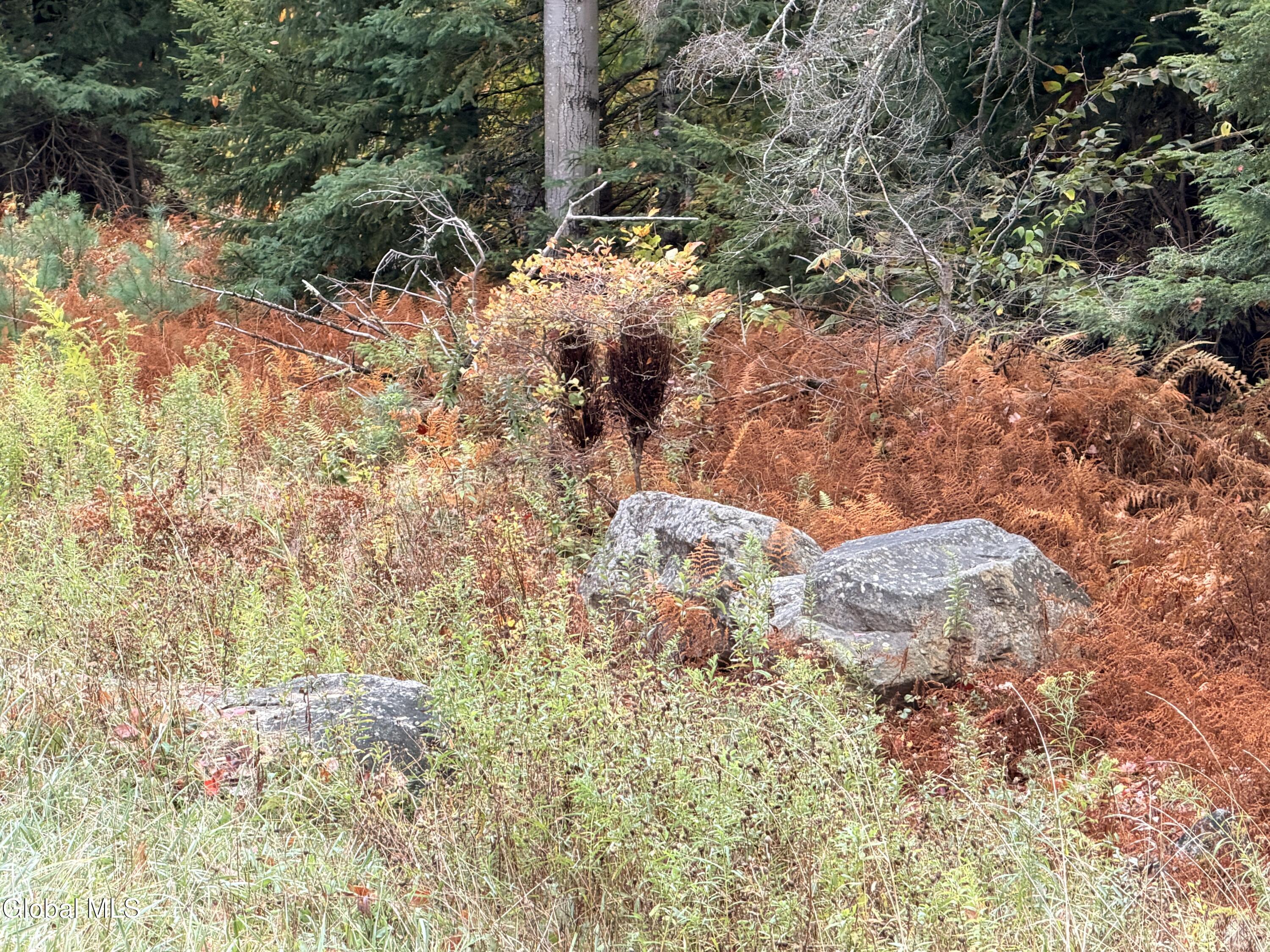 L25.12 Taconic Lake Road Petersburg, NY 12138 - Photo 17 of 60 IMG_0490 2