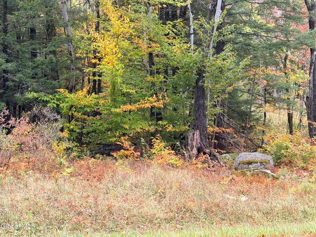 $220,000 | L25.12 Taconic Lake Road, Petersburg, NY 12138