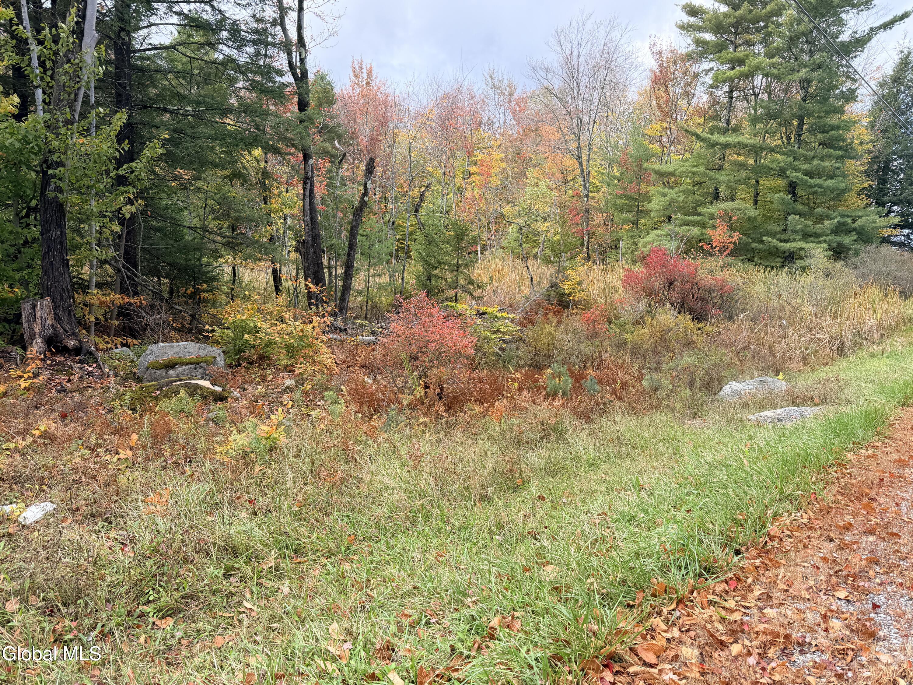 L25.12 Taconic Lake Road Petersburg, NY 12138 - Photo 19 of 60 IMG_0488 3