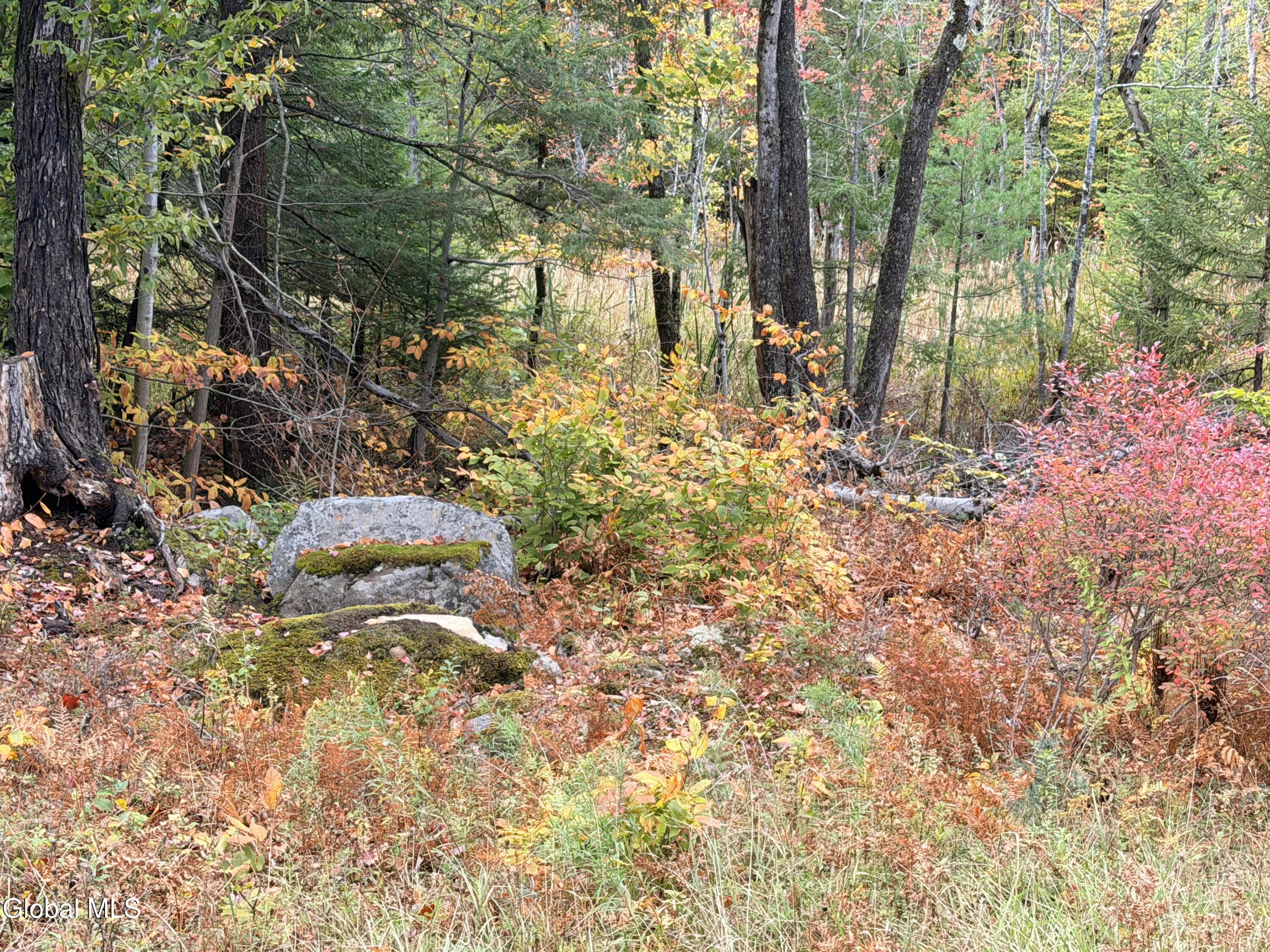 L25.12 Taconic Lake Road Petersburg, NY 12138 - Photo 20 of 60 IMG_0487 2