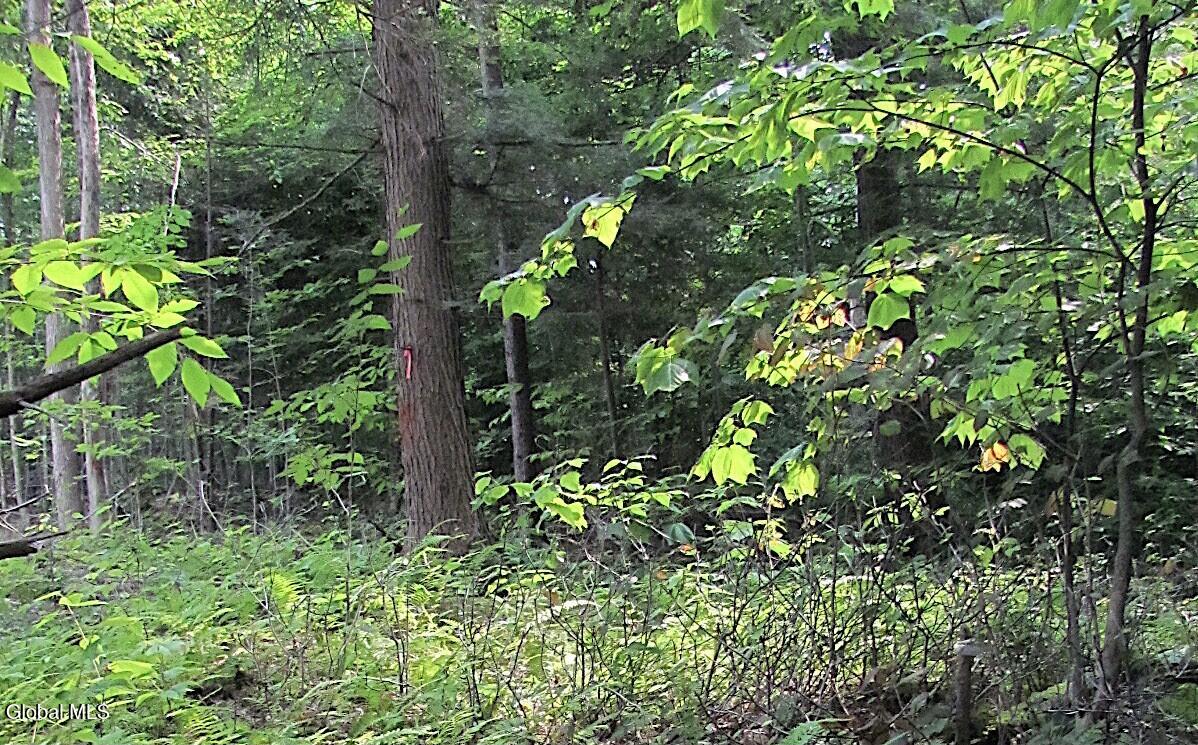 L25.12 Taconic Lake Road Petersburg, NY 12138 - Photo 2 of 60 1