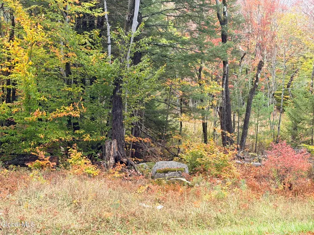 $220,000 | L25.12 Taconic Lake Road, Petersburg, NY 12138