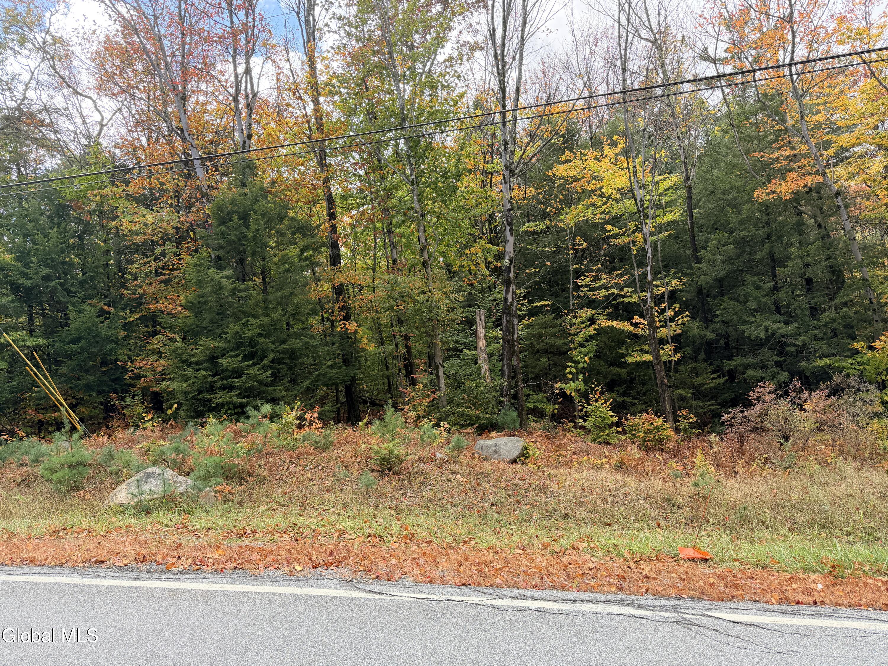 L25.12 Taconic Lake Road Petersburg, NY 12138 - Photo 23 of 60 IMG_0484 2