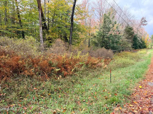 $220,000 | L25.12 Taconic Lake Road, Petersburg, NY 12138