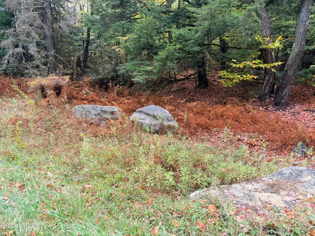 $220,000 | L25.12 Taconic Lake Road, Petersburg, NY 12138